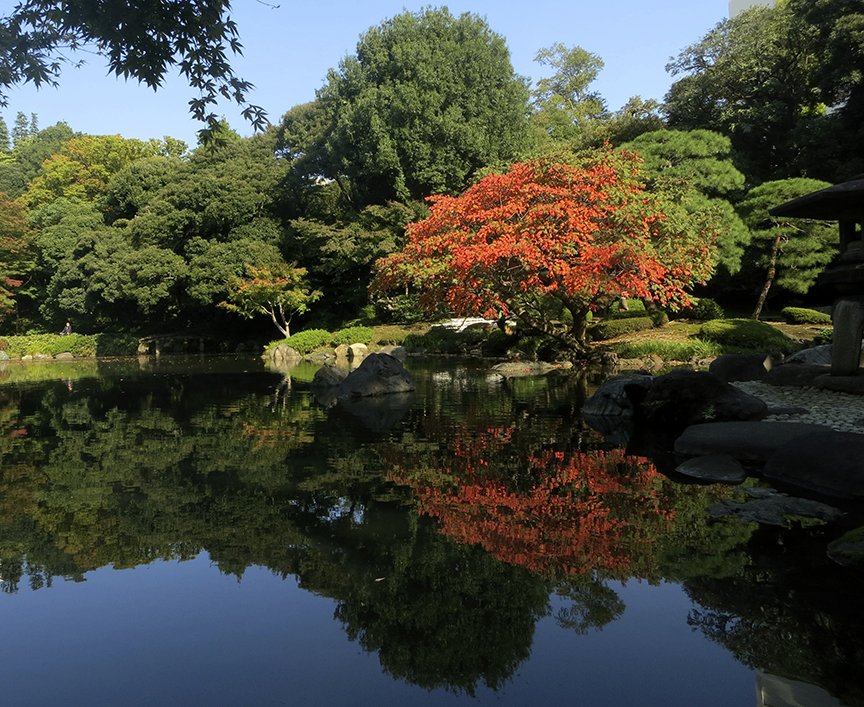 🌸 구 후루카와 정원(큐후루카와테이엔) 이미지 7
